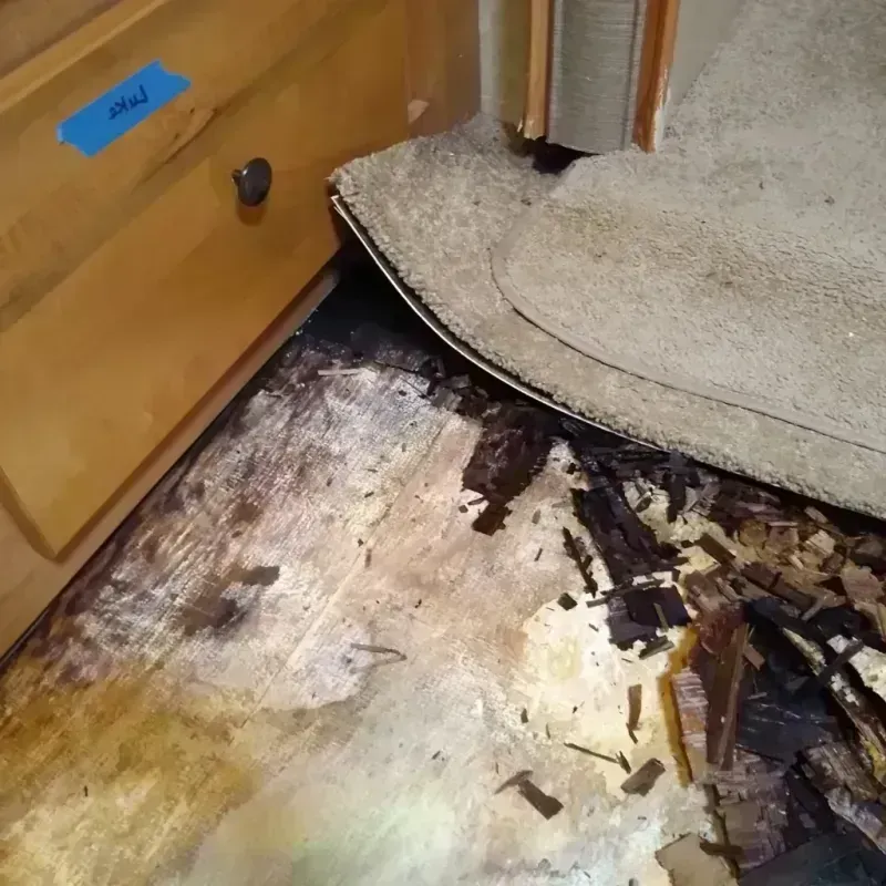 Best Wood Floor Water Damage Service in Spring Valley, NV